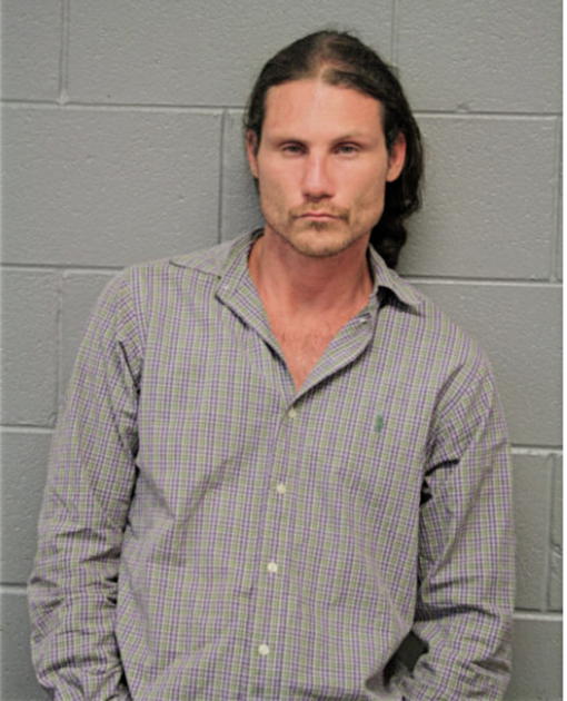CARY AUSTIN MAMOLA, Cook County, Illinois