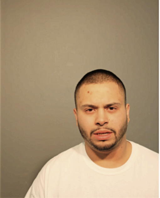 LUIS G MIRANDA, Cook County, Illinois