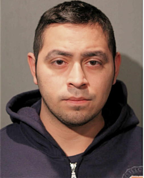 GABRIEL E MOLINA, Cook County, Illinois