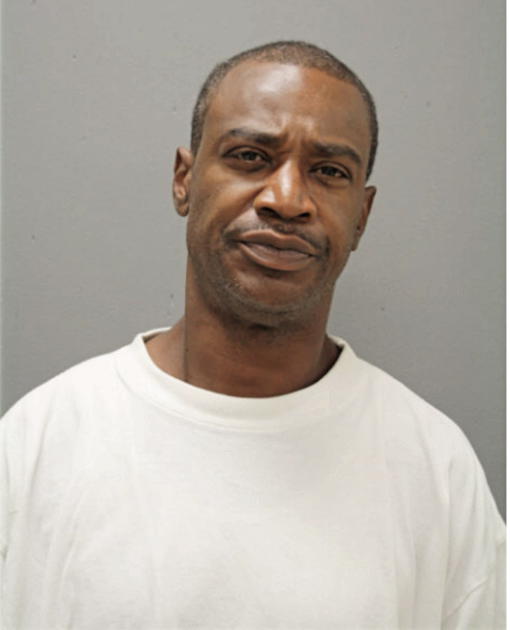 BRIAN D NELSON, Cook County, Illinois