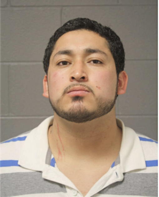 SERGIO G PEREZ, Cook County, Illinois