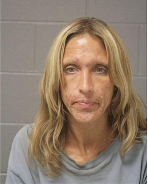 RENEE D RAY, Cook County, Illinois