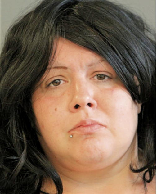 NANCY A TORRES, Cook County, Illinois