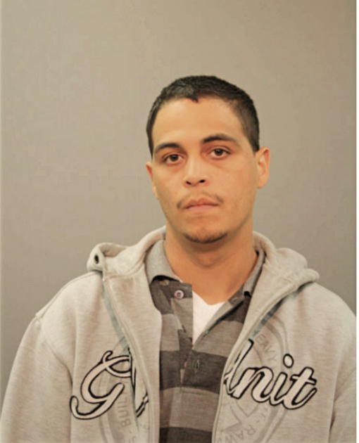 FELIX L VEGA, Cook County, Illinois