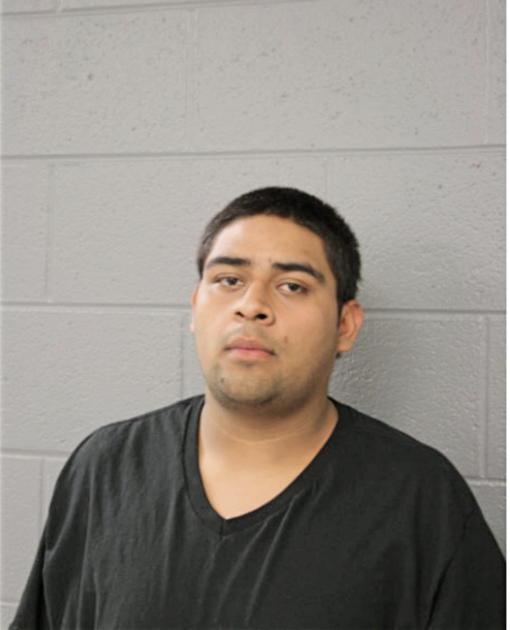 IRVING VERGARA, Cook County, Illinois