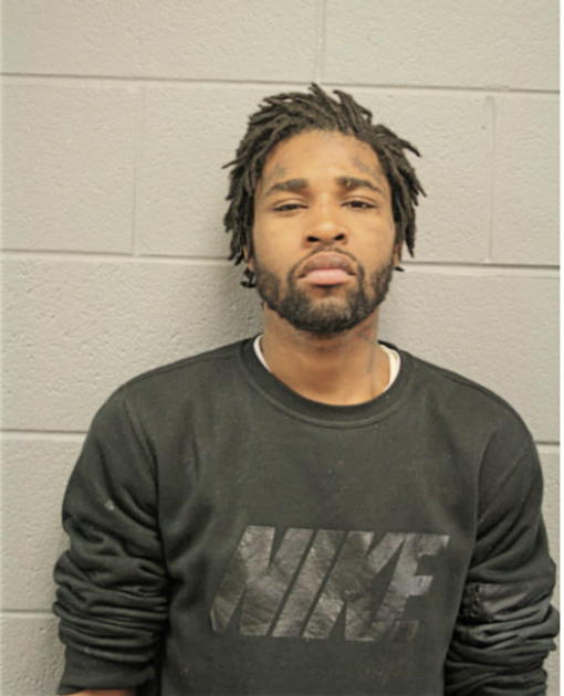 BRIAN D WHITE, Cook County, Illinois