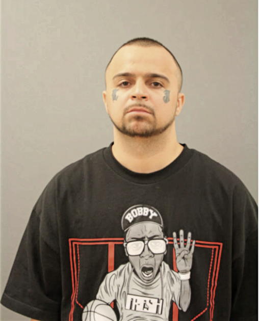 VICTOR L ALVAREZ, Cook County, Illinois