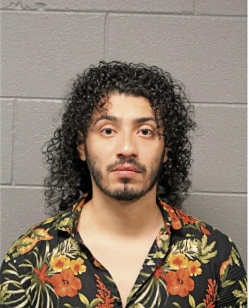 LUIS R AVILEZ, Cook County, Illinois
