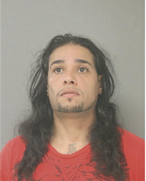 ENRIQUE J BORJON, Cook County, Illinois