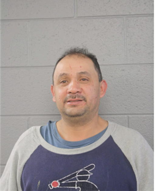 LUIS E DIAZ, Cook County, Illinois