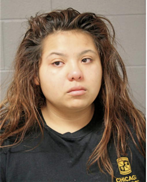HEIDY M FROMETA, Cook County, Illinois