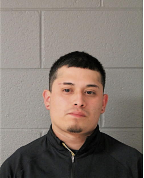 CARLITOS GAMA, Cook County, Illinois