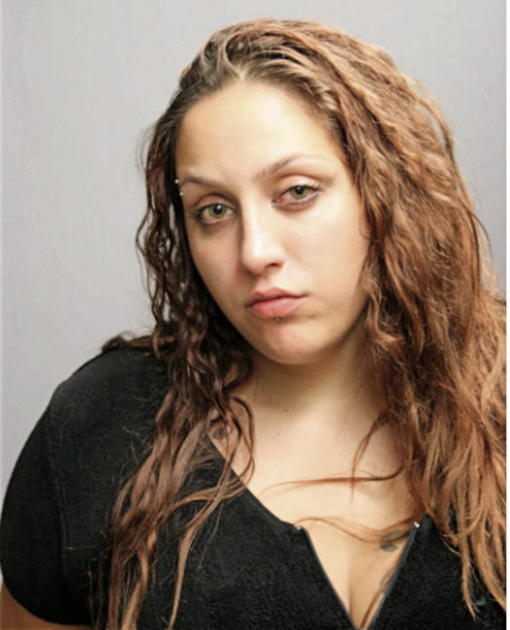 SHAREEN K GHAZIANI, Cook County, Illinois