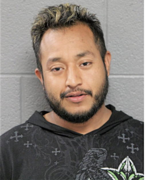 ADIRAI GOMEZ, Cook County, Illinois