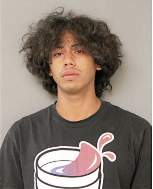 ANDY L GUZMAN, Cook County, Illinois