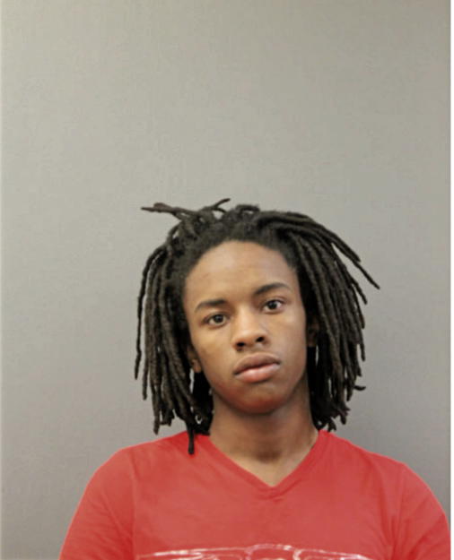 JELANI R HINES, Cook County, Illinois