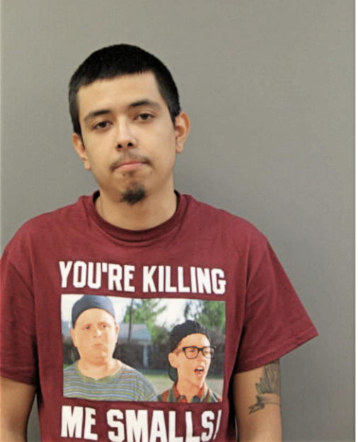CARLOS T HURTADO, Cook County, Illinois