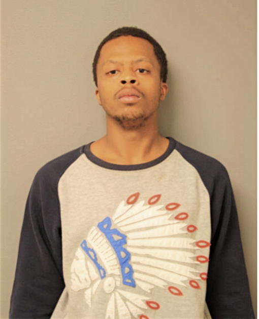 TERRANCE T JACKSON, Cook County, Illinois