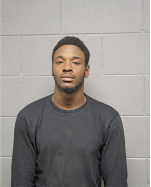 FERDINAND L JOHNSON, Cook County, Illinois