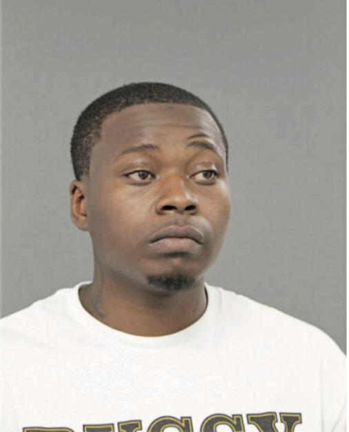 TERRENCE C JOHNSON, Cook County, Illinois