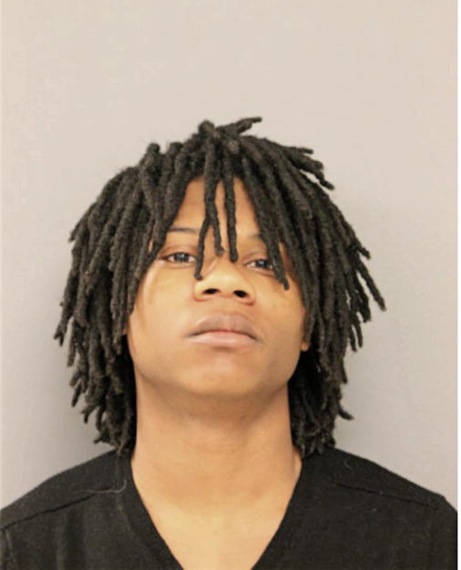 VASHON L JOHNSON, Cook County, Illinois