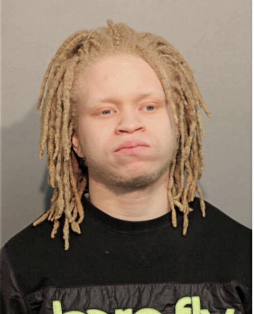 RAISHON J KING, Cook County, Illinois