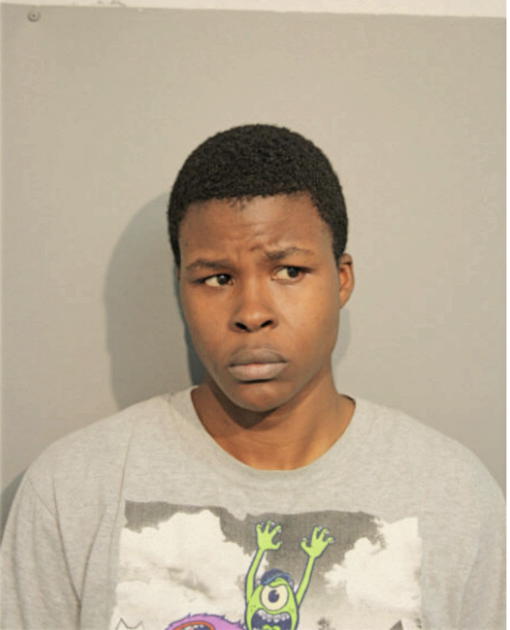 LATISHA R LAND, Cook County, Illinois