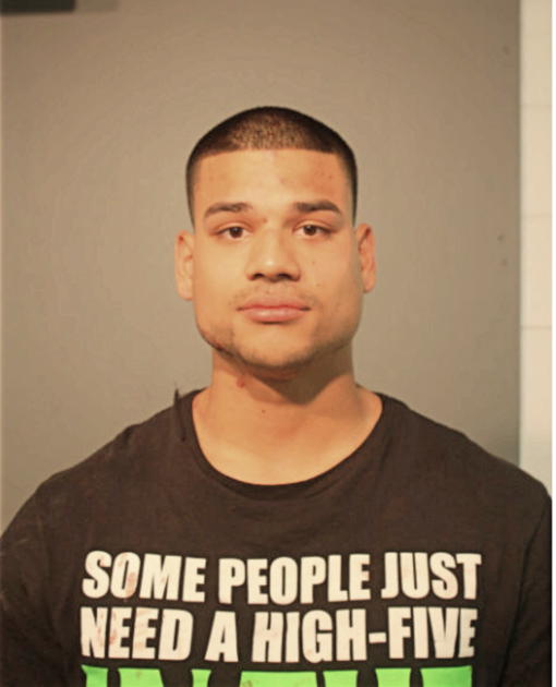 JEFFREY S NAGAMINE, Cook County, Illinois
