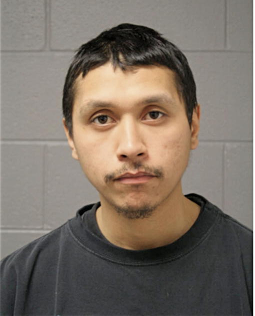 ALEJANDRO NUNEZ, Cook County, Illinois