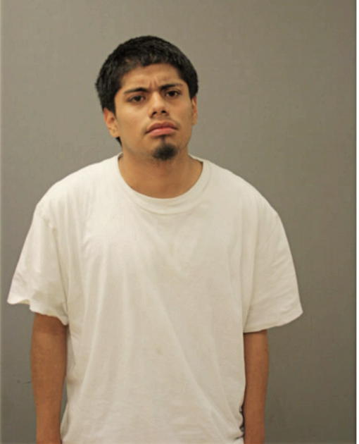 ALEJANDRO PERALTA, Cook County, Illinois