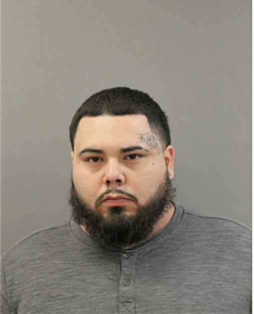 JUAN J REYES, Cook County, Illinois