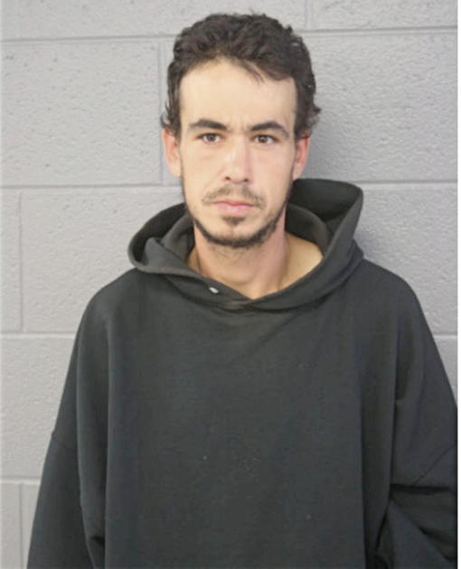 DAVID N RODRIGUEZ, Cook County, Illinois