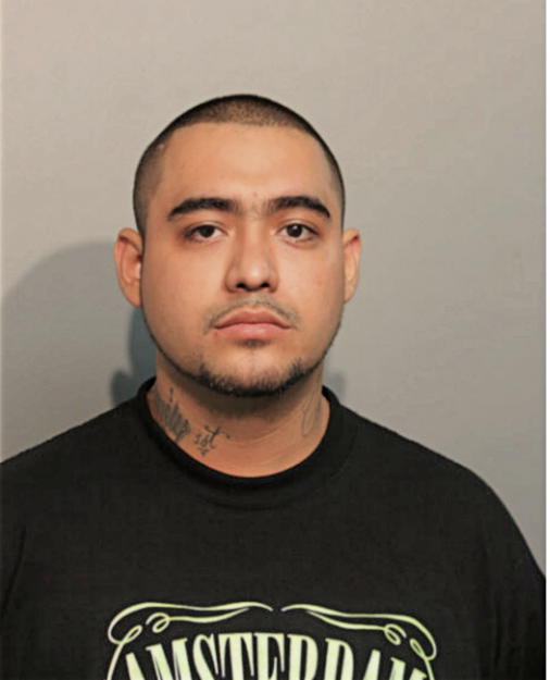 JOSE F ALMARAZ, Cook County, Illinois