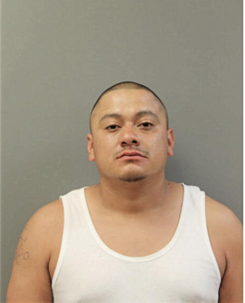 CELESTINO BANUELOS, Cook County, Illinois