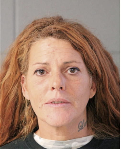 MICHELLE BRODRICK, Cook County, Illinois
