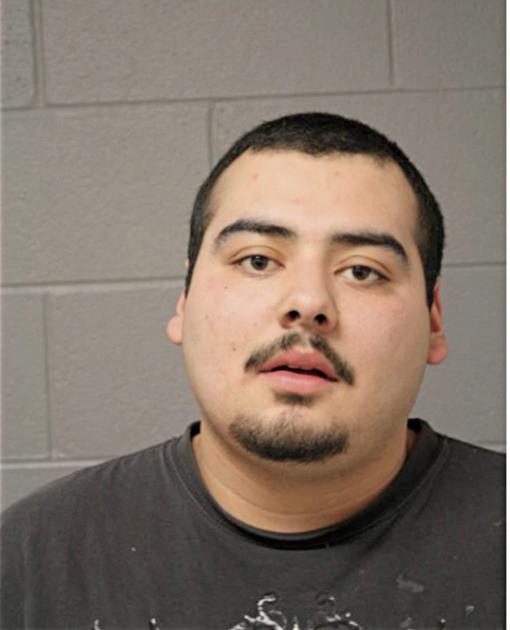 JUAN C CASTANEDA, Cook County, Illinois