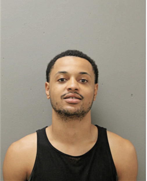 BRIAN A CHAPMAN, Cook County, Illinois