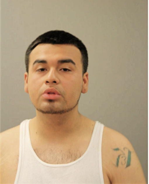 CHRISTIAN GONZALEZ, Cook County, Illinois