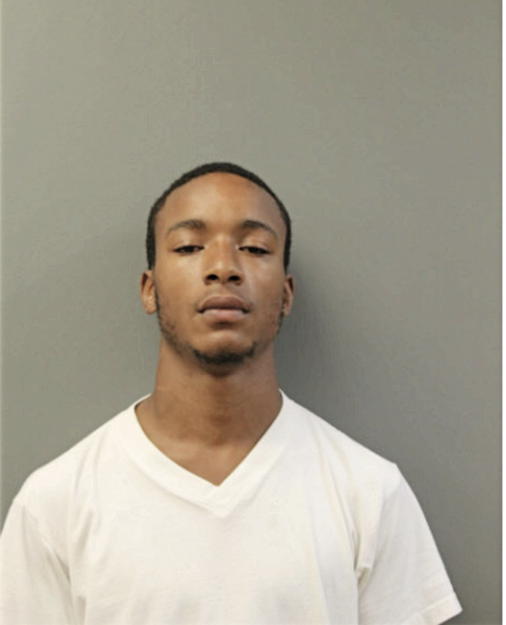 MICHAEL W GRAY, Cook County, Illinois