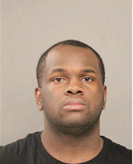 BRANDON R JOHNSON, Cook County, Illinois