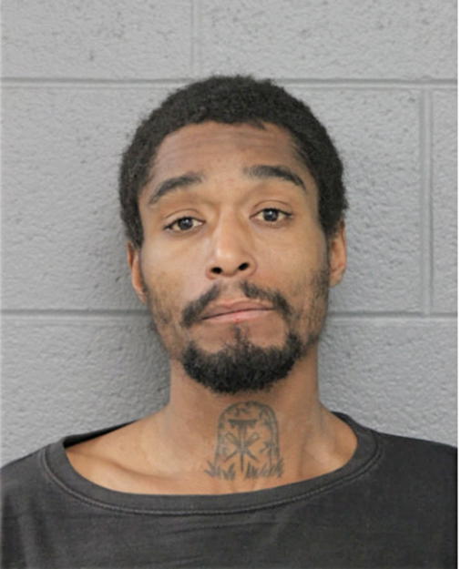 DARNELL JR JOHNSON, Cook County, Illinois