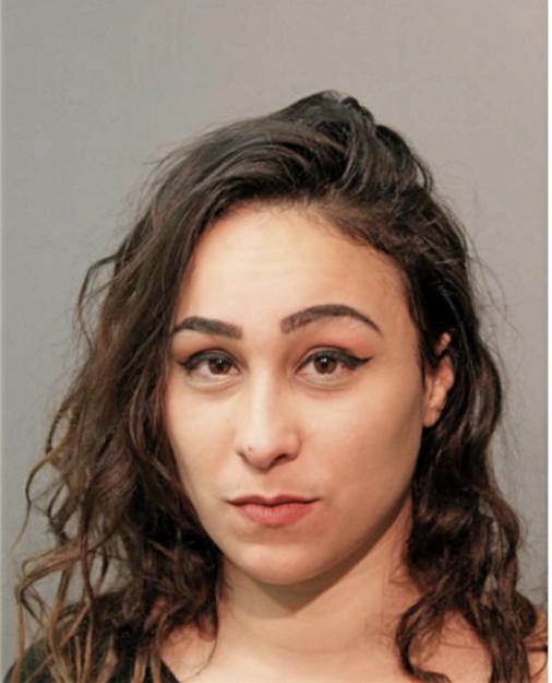 VICTORIA L RIVERA, Cook County, Illinois
