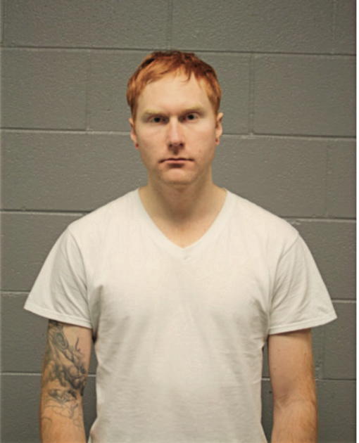 DERECK K LARSEN, Cook County, Illinois