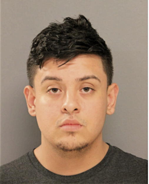 LUIS A LOREDO, Cook County, Illinois