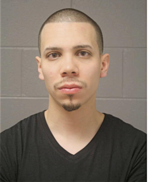JOE R MALDONADO, Cook County, Illinois