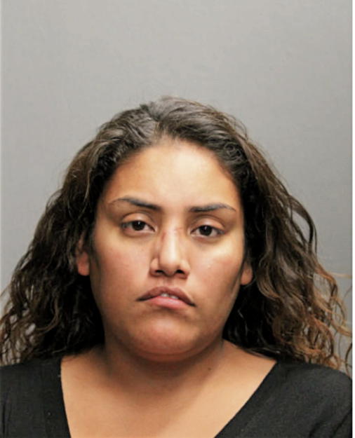 JENNIFER N MENDIZABAL, Cook County, Illinois