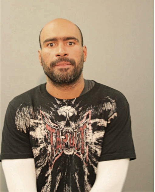 ANGEL GABRIEL MENDOZA, Cook County, Illinois