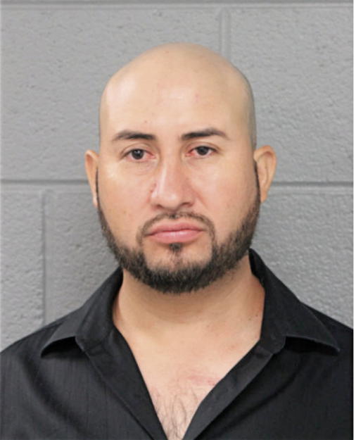 HIRAM MENDOZA-TOVAR, Cook County, Illinois