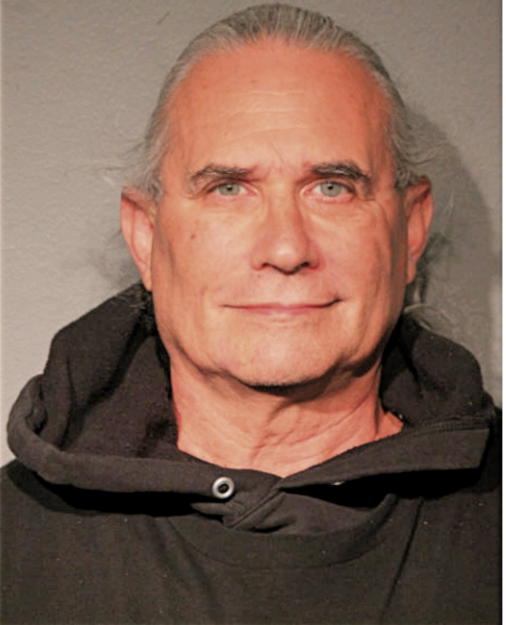 RICHARD M NEWBURGER, Cook County, Illinois