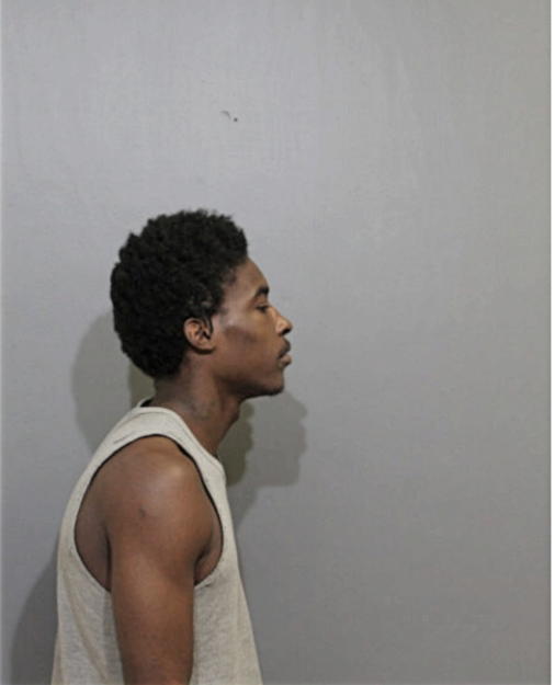 WILLIAM J NOEL THOMAS, Cook County, Illinois
